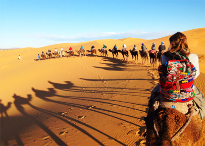 camellos Marruecos